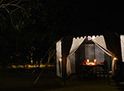 Accommodation & Hotels In Pench National Park