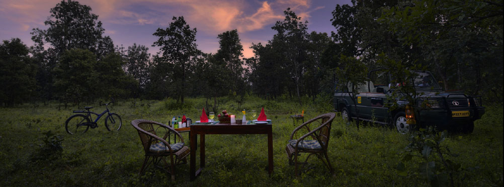 Pench National Park Hotels