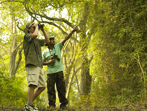 Best Eco-Resort in Pench Tiger Reserve