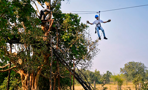 tiger safari in pench