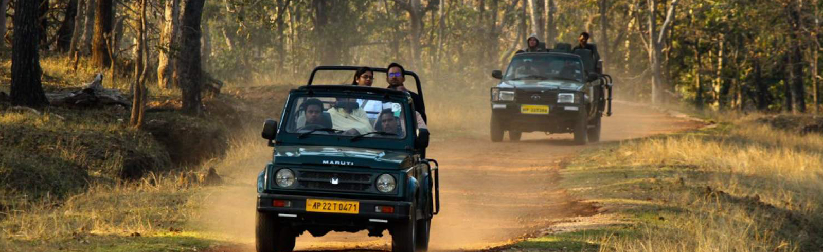 pench accommodation