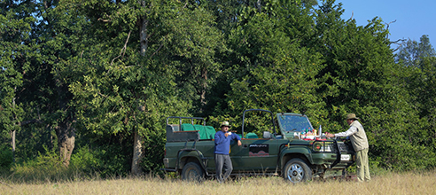 Resorts in pench national park