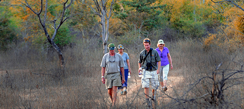 Resorts in pench national park