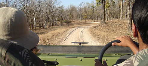 Resorts in pench national park