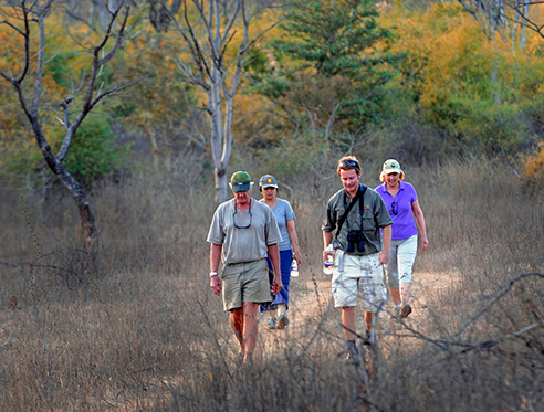 Pench Hotels