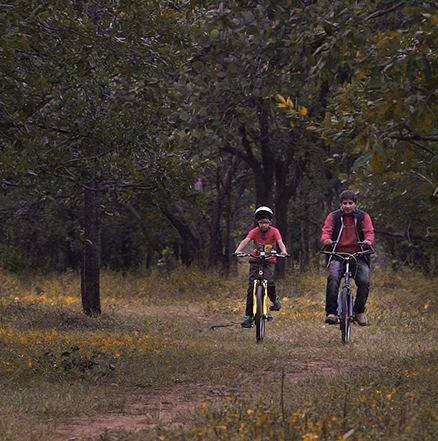 Pench National Park Hotel