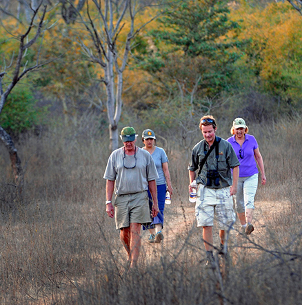 Pench Hotels