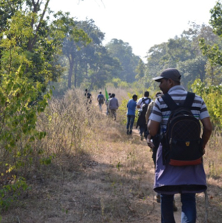 Pench National Park Hotel