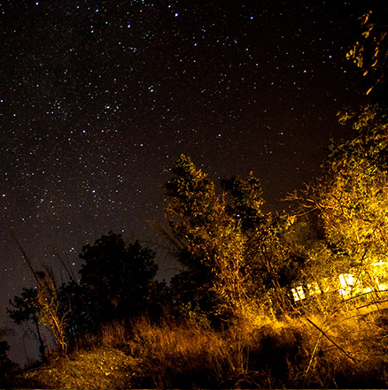 Pench National Park Hotel