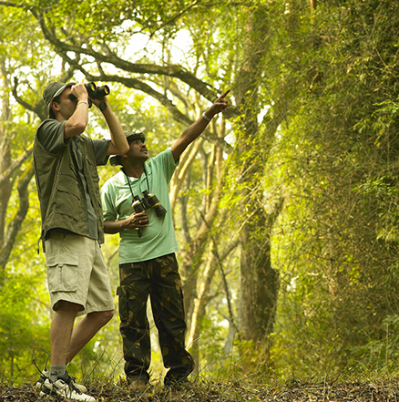 Pench National Park Hotels