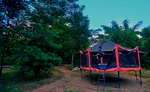 Jungle safari india