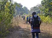 Pench National Park Hotel