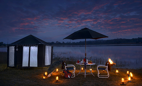 Luxury Hotels and Resorts in Pench National Park