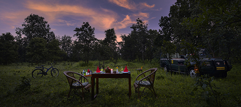 Resorts in pench national park