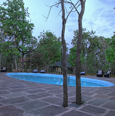 Hotels in Pench Madhya Pradesh