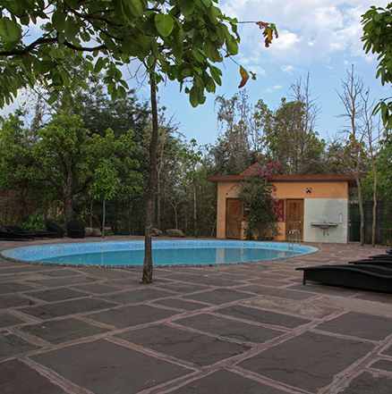 Luxury resorts Pench National Park