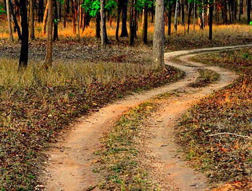 pench accommodation