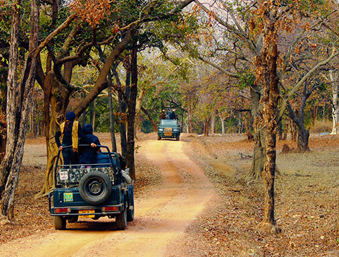 Pench National Park Hotel Deal