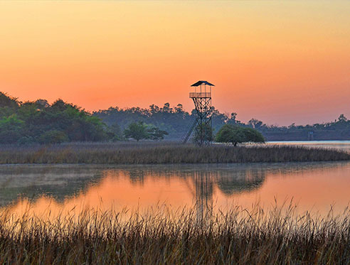 pench national park