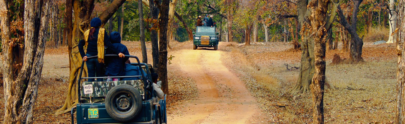 Hotels in pench national park