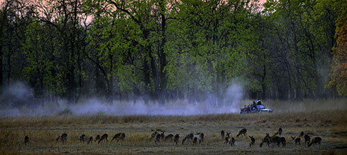 Resorts in pench national park