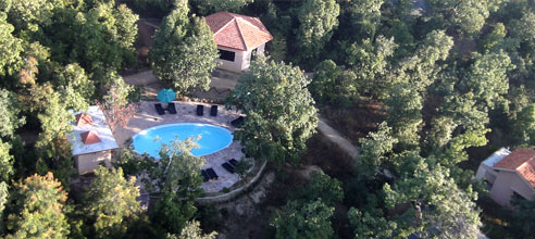 Resorts in pench national park