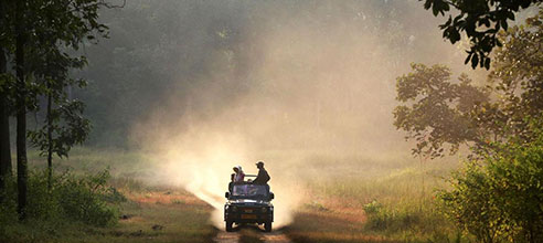 Resorts in pench national park