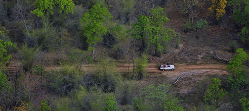 Resorts in pench national park