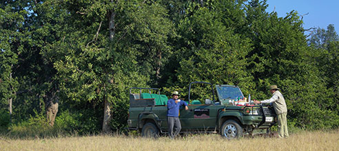 Resorts in pench national park