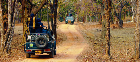 Resorts in pench national park