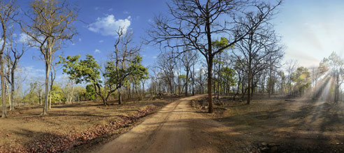 Resorts in pench national park