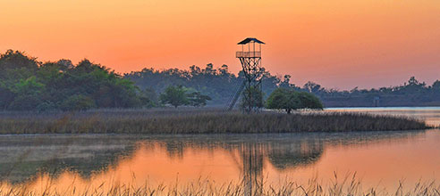 Resorts in pench national park