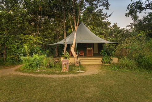 Resorts in pench national park