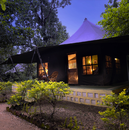 Pench National Park Hotel