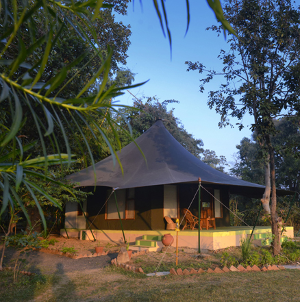 tiger safari in pench