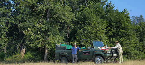 Resorts in pench national park