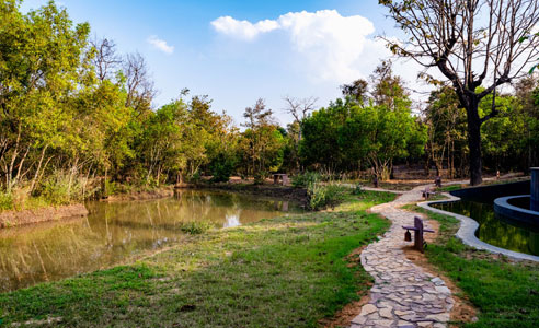 Resorts in pench national park