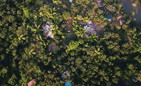 Resorts in pench national park