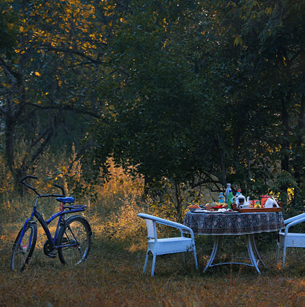 Luxury resorts Pench National Park