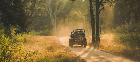 Resorts in pench national park